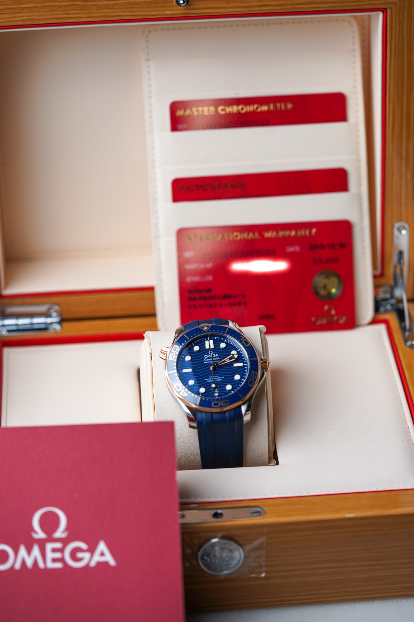 Omega Seamaster 300M Sedna Gold 210.22.42.20.03.002